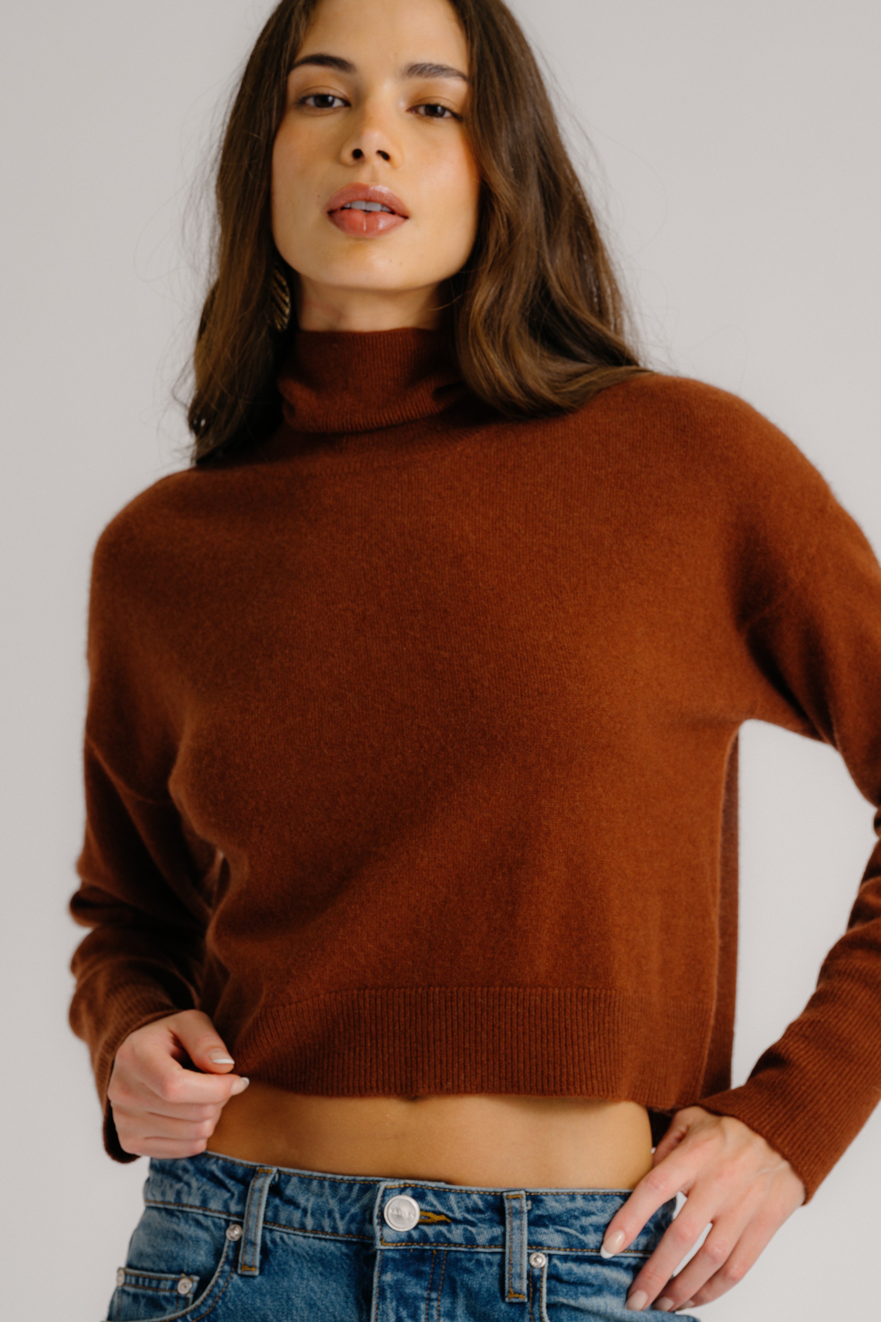 SABLE CASHMERE TURTLENECK SWEATER | MAHOGANY